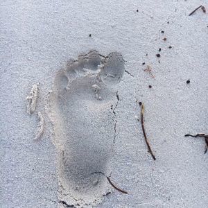 Meet your Posher, Claire